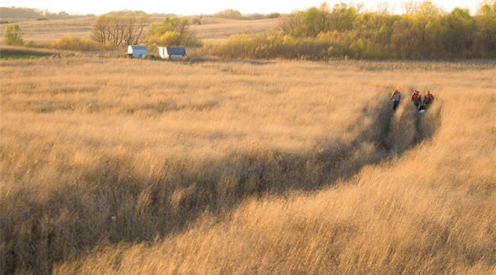 quail hunting 700