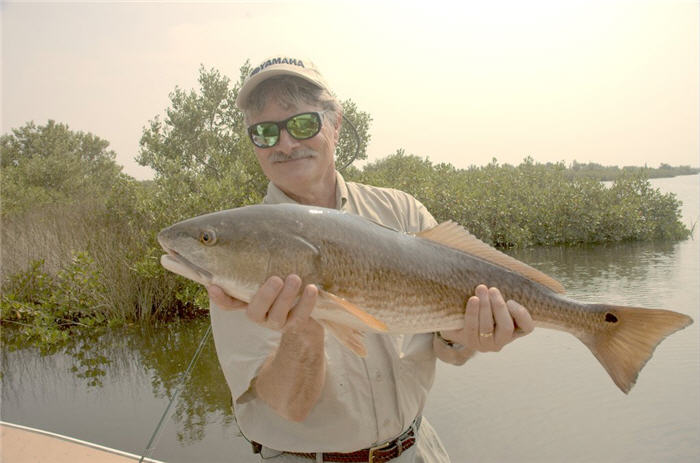 8 Scent-Bait Tips for Redfish Anglers