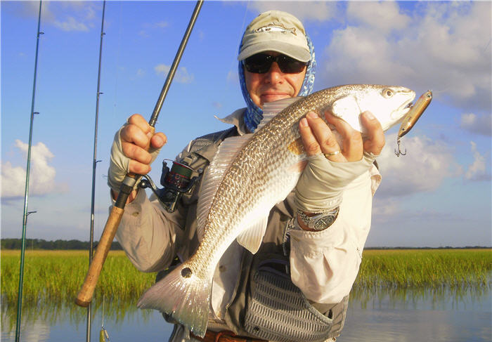 redfish florida maizler