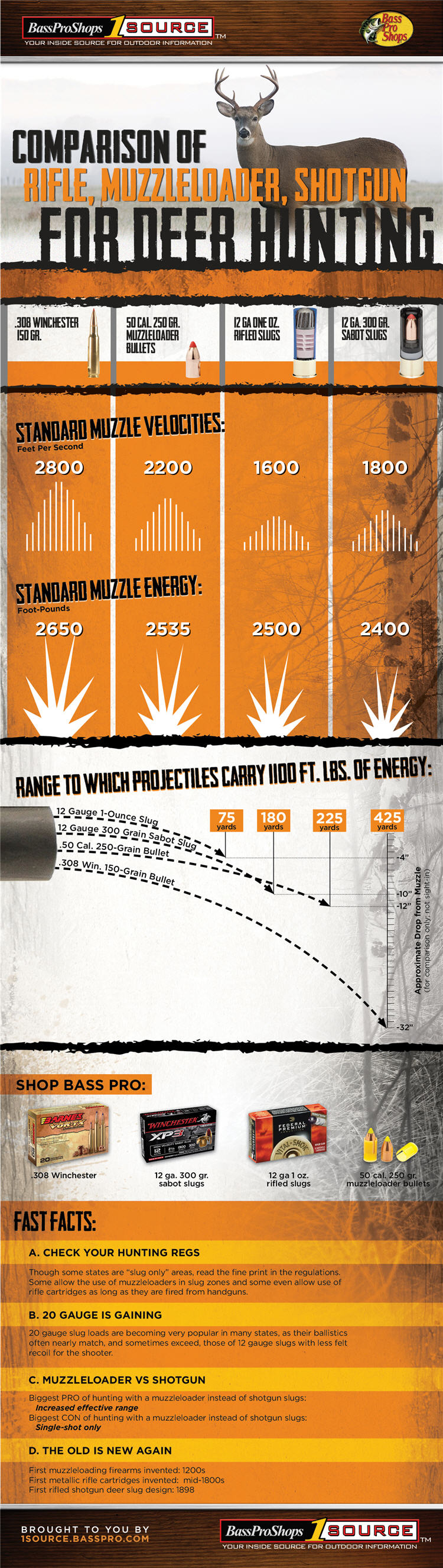 rifle muzzleloader slug infographic 750
