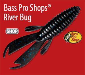 Shop Bass Pro Shops river bug fishing lure