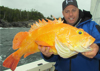 rockfish yellow eye