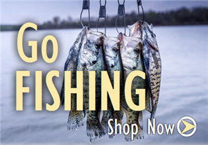 Best Crappie Bait And How To Use It, 52% OFF