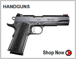 shop handguns