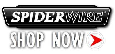 shop spiderwire line