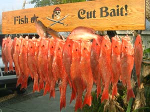 4 Tips to Land More Red Snapper on Your Next Fishing Trip