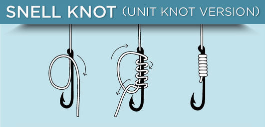 snell knot graph