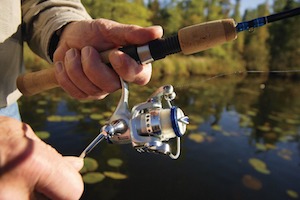 Spinning reel rigged to a fishing rod