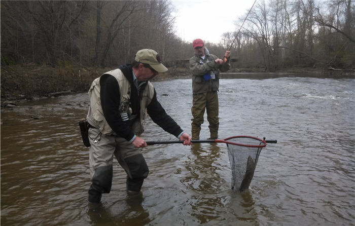 Steelhead Techniques For Lake Erie Tributaries - On The Water