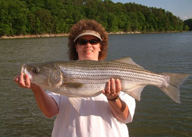 Best Lures for Striped Bass