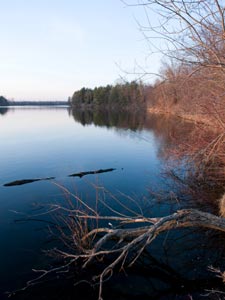 Spring Crappie Fishing From Shore