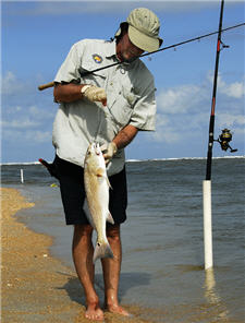 Saltwater Surf Fishing Basics