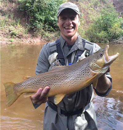 trout fallbrown