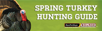 turkey hunting guide spring