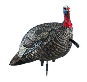 turkey jake decoy avian