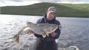 w.david lake trout