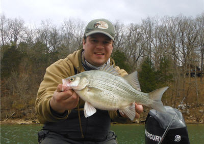 White Bass - Fishing Tip