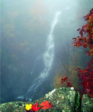 Whiteoak falls in the Shenondoah National Park along the Blue Ridge Mountains in the U.S. state of Virginia