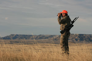 Hunter glassing for deer