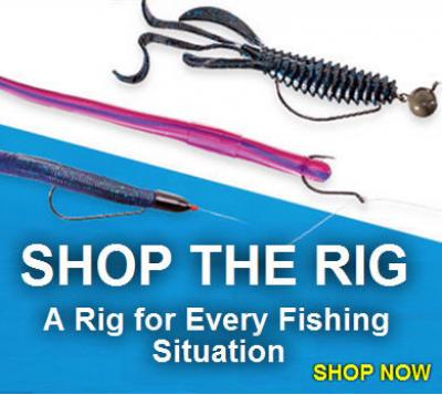 1Source Banner: Shop 10 Top Fishing Rigs