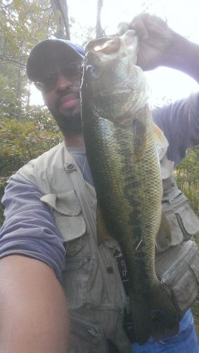 Braggin' Board Photo: 6 pounds Rage toad