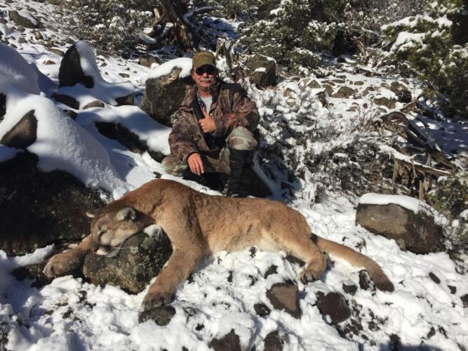 Braggin' Board Photo: Mountain lion