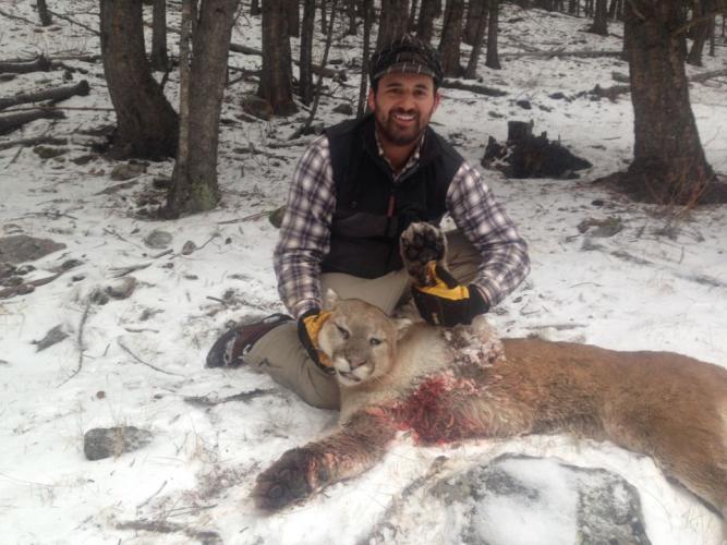 Braggin' Board Photo: 1 Lion Down