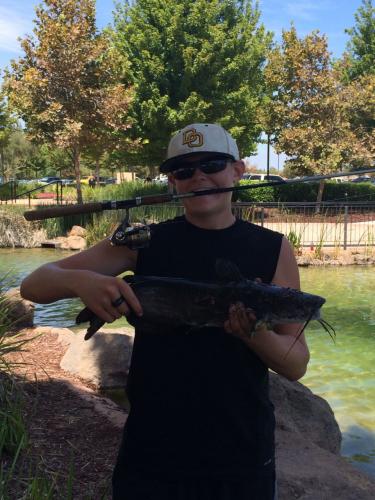 Braggin' Board Photo: Not enough hands for this cat