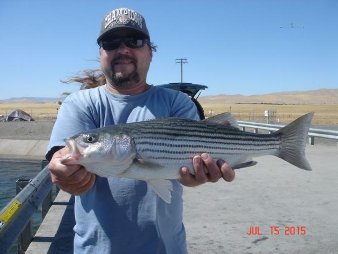 Braggin' Board Photo: Dave's Striper Bass