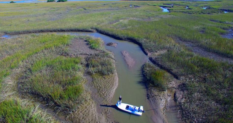 Braggin' Board Photo: Lowcountry Redfish, SC