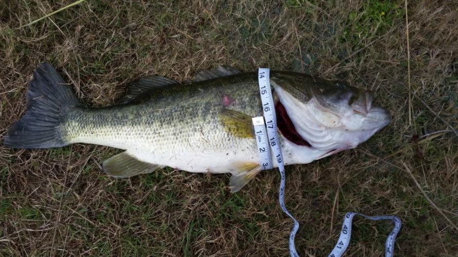 Braggin' Board Photo: I could fish all day!