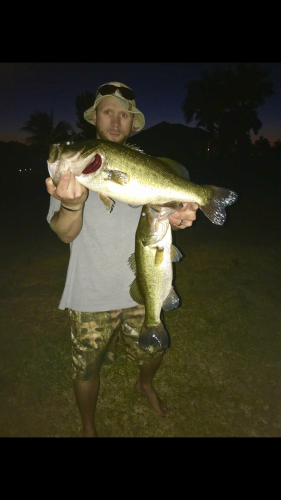 Braggin' Board Photo: Double Bass