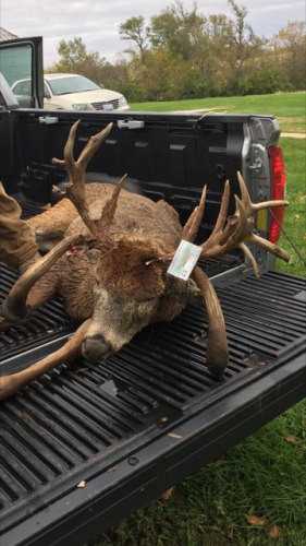 Braggin' Board Photo: non-typical deer