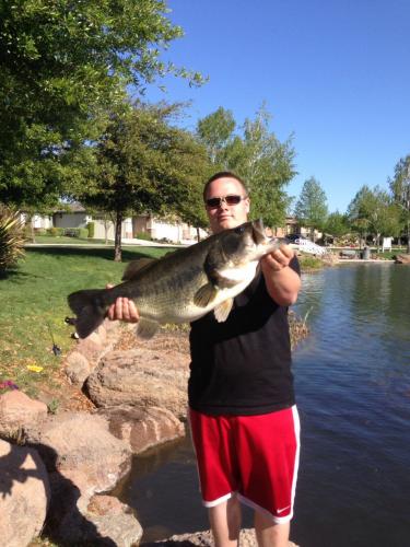 Braggin' Board Photo: A Great day bass fishing !! 15.9LB caught & Released