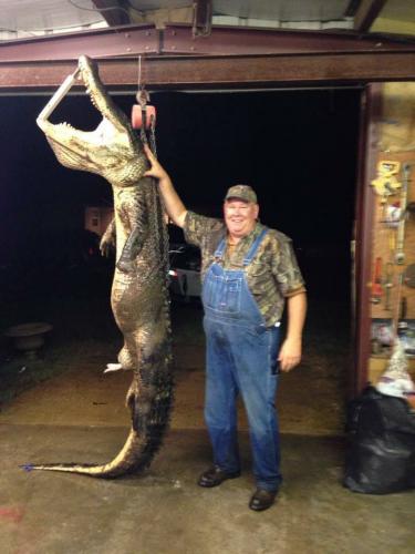 Braggin' Board Photo: Hunting Alligator in Arkansas