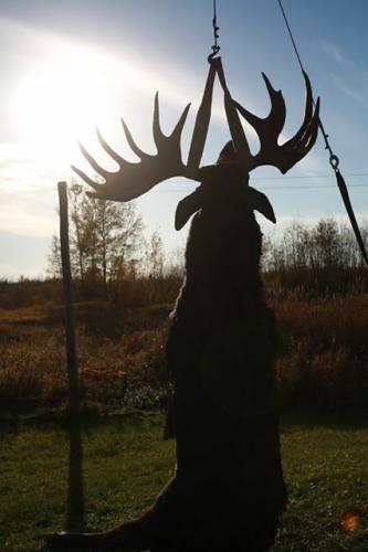 Braggin' Board Photo: Big Game Moose