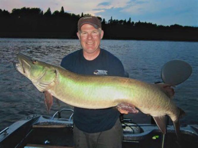 J-Man's 2014 Fall Muskie Trolling Report: Lake of the Woods