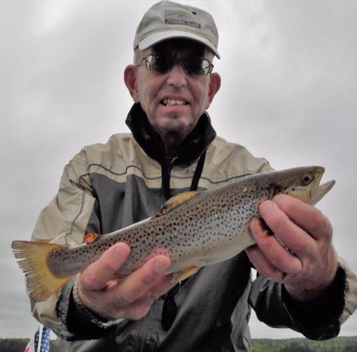 Braggin' Board Photo: 14 inch Brown Trout