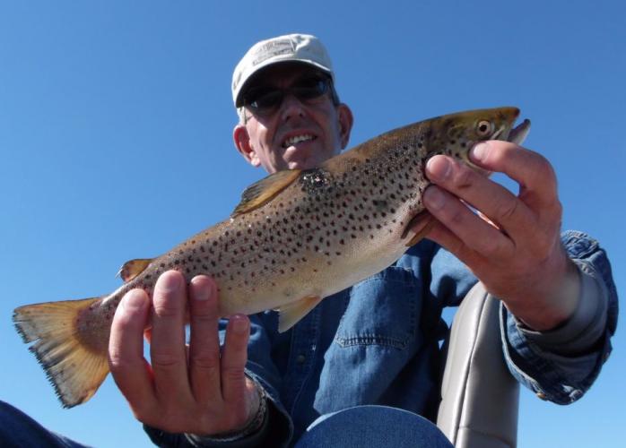 Braggin' Board Photo: 16 inch Brown Trout
