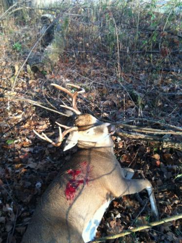 Braggin' Board Photo: 2012 Buck