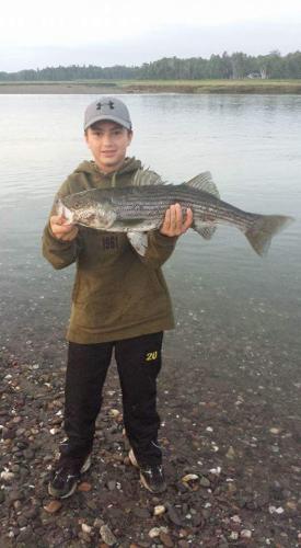 Braggin' Board Photo: Catch of the day: Striped Bass