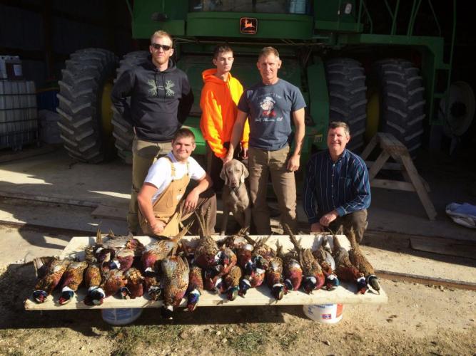 Braggin' Board Photo: Pheasants Everywhere!