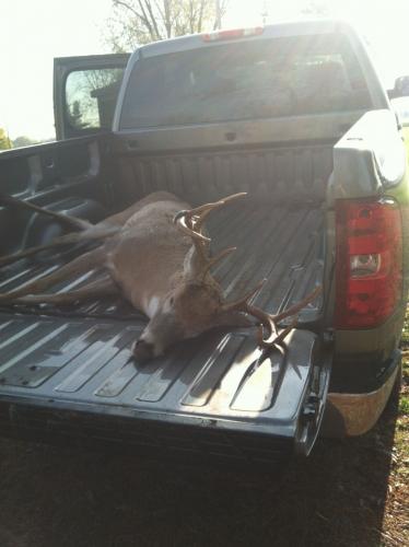 Braggin' Board Photo: 2012 Buck