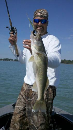 Braggin' Board Photo: Nice Walleye