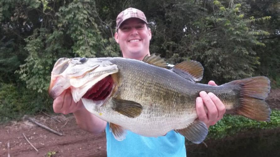 Braggin' Board Photo: Fattie Bass