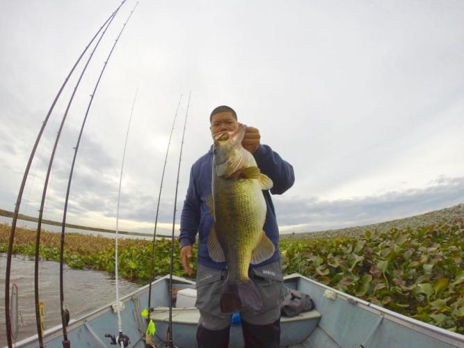 Braggin' Board Photo: Nice Bass