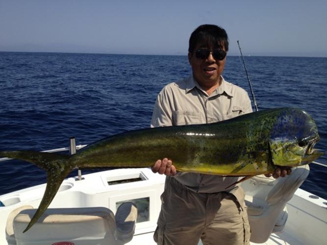 Dorado (Mahi Mahi) near Cabo San Lucas, Mexico