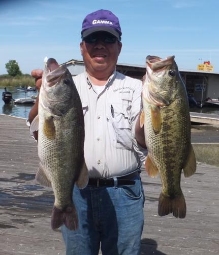 Two Largemouth Bass held side-by-side by angler