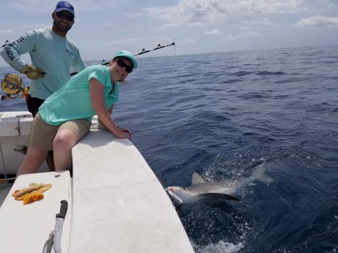 Lady angler stretching over the side of the boat posing with the shark she caught