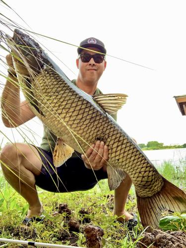 Angler holding up his giant grass carp near the rivers edge